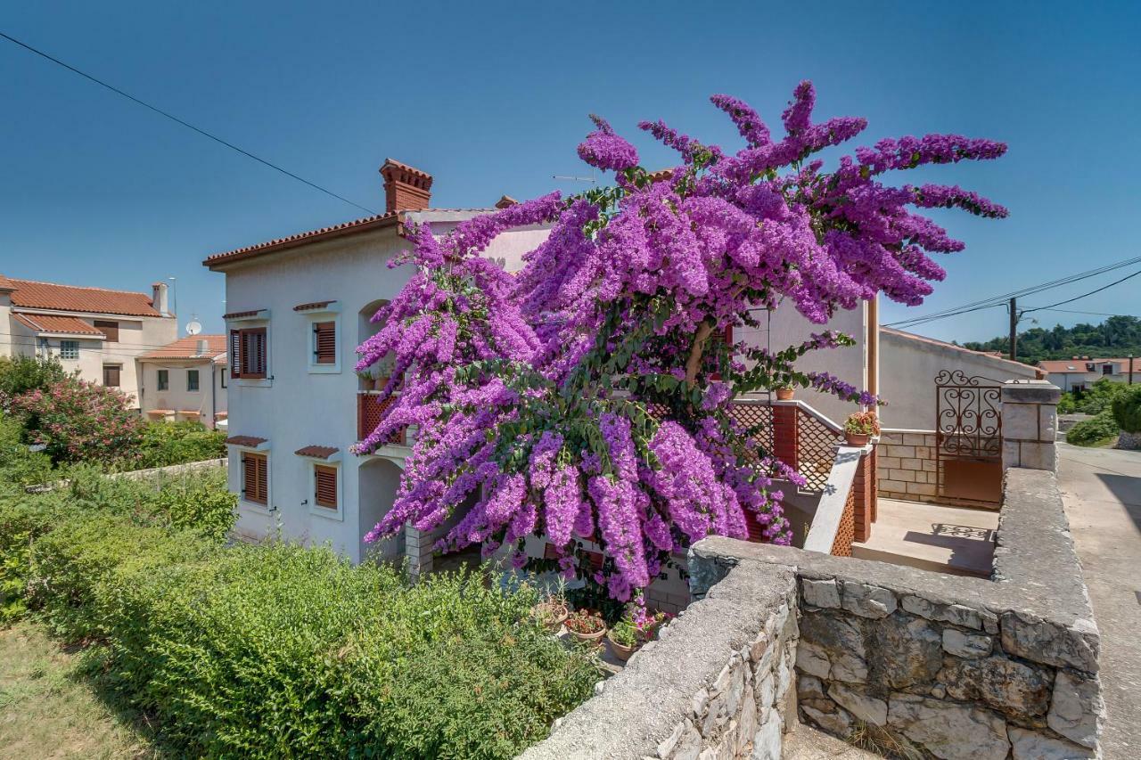 Bugenvilia Mali Lošinj Dış mekan fotoğraf